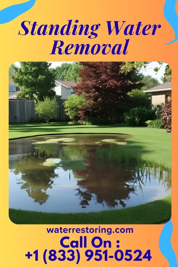 Standing Water Removal in Harrisburg, AR